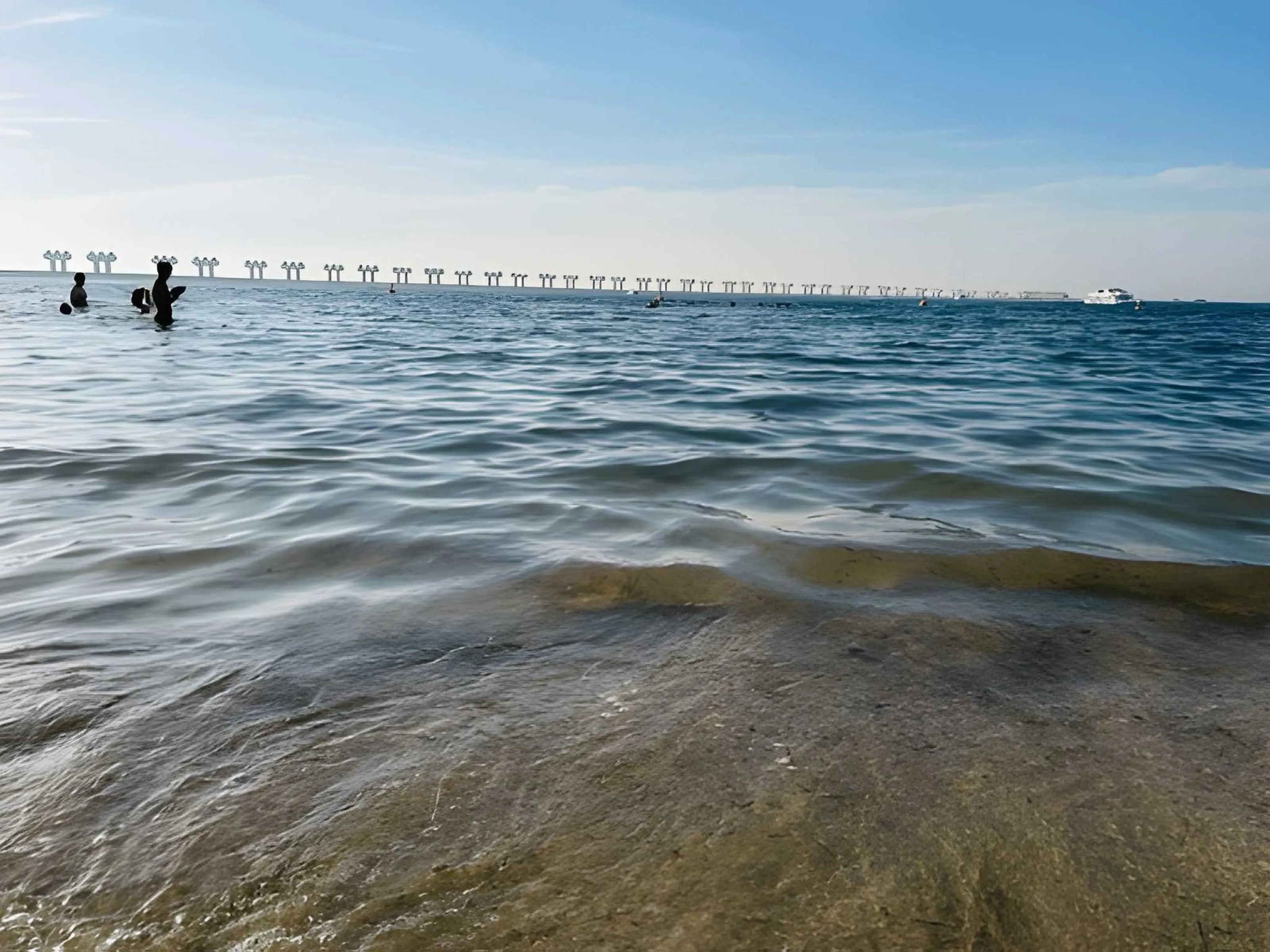 Jebel Ali Dog Beach